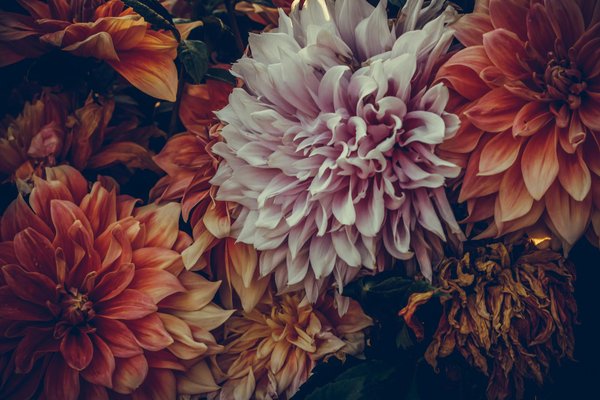 Essential zoning insights for expanding your detached home in the uk: an in-depth resource